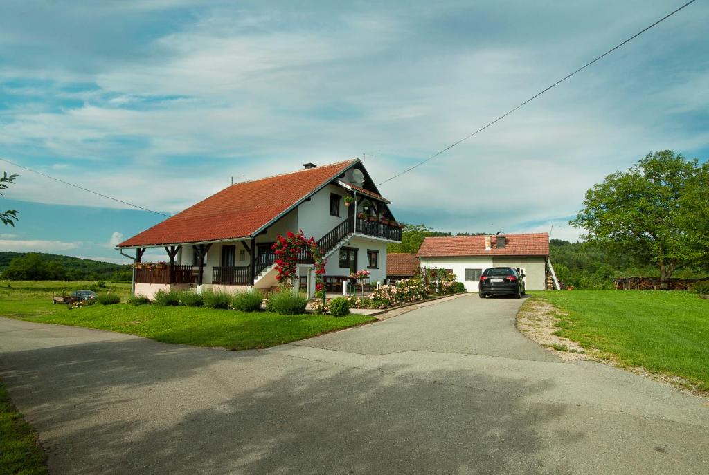 a house with a car parked in the driveway at Apartment Ivano in Rakovica