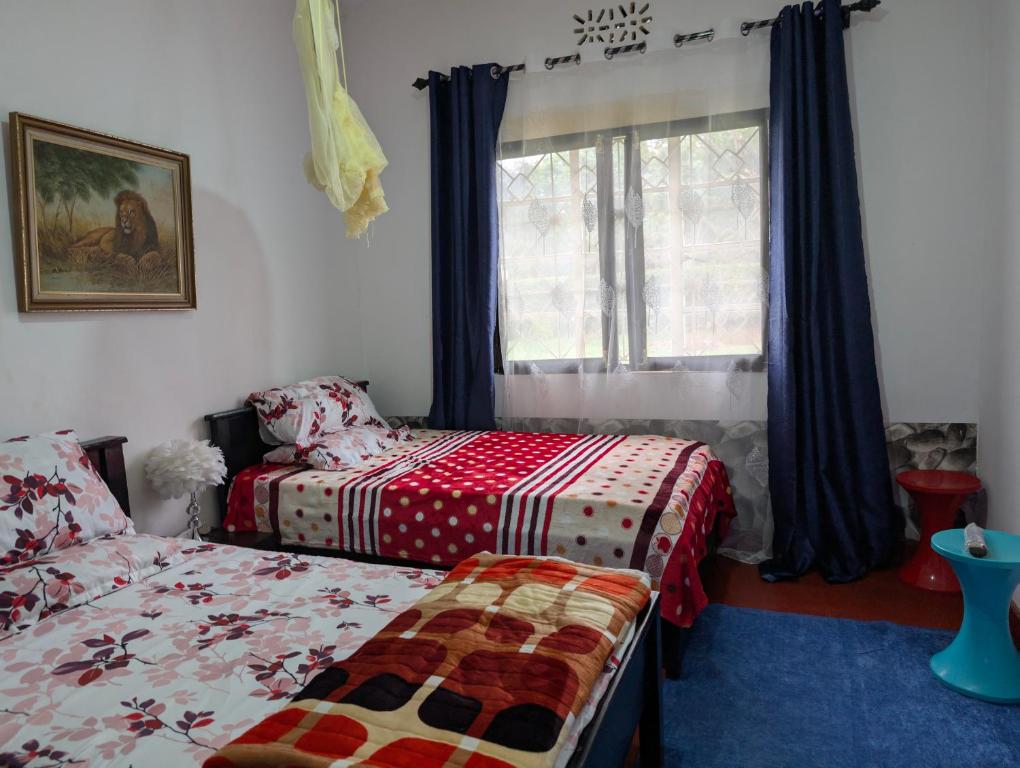 ein Schlafzimmer mit zwei Betten und einem Fenster in der Unterkunft Dans place in Moshi