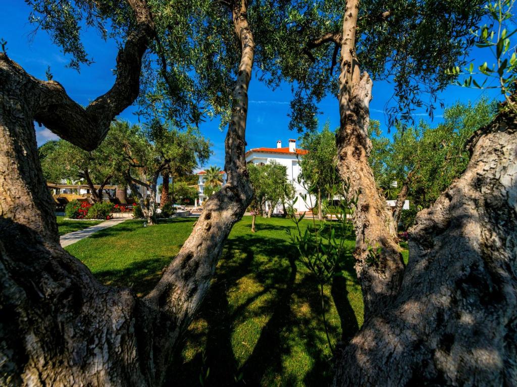 A garden outside Flegra Palace