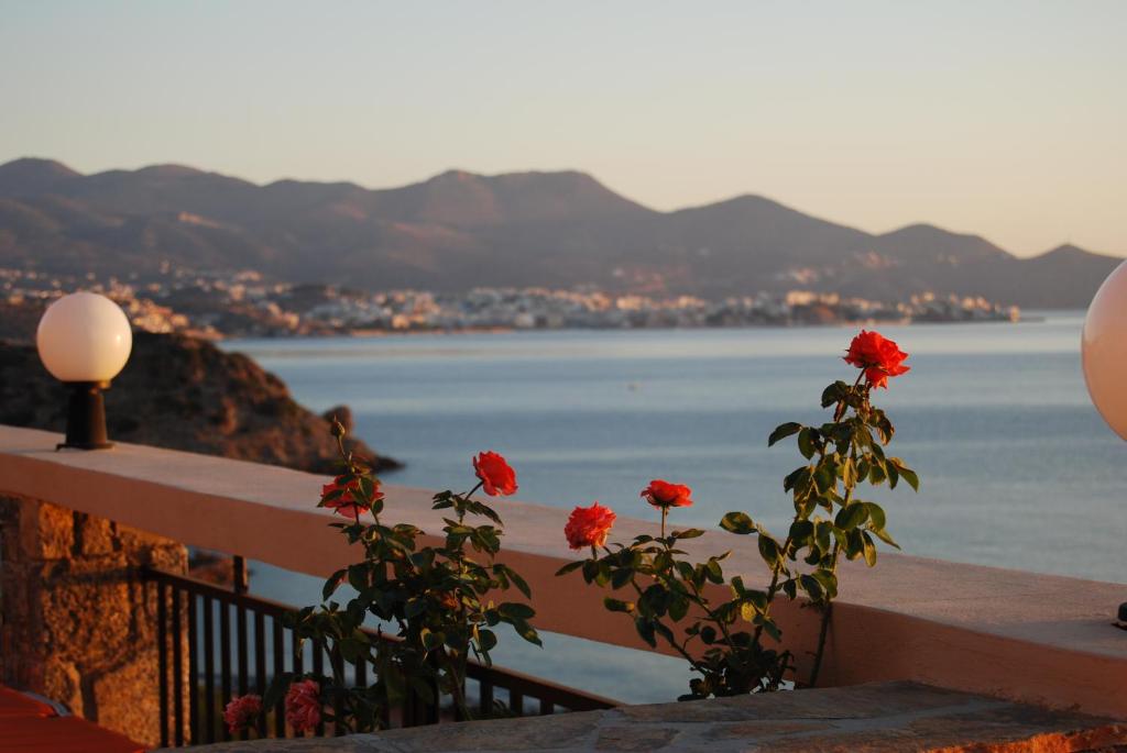 Ostria Apartments - 12