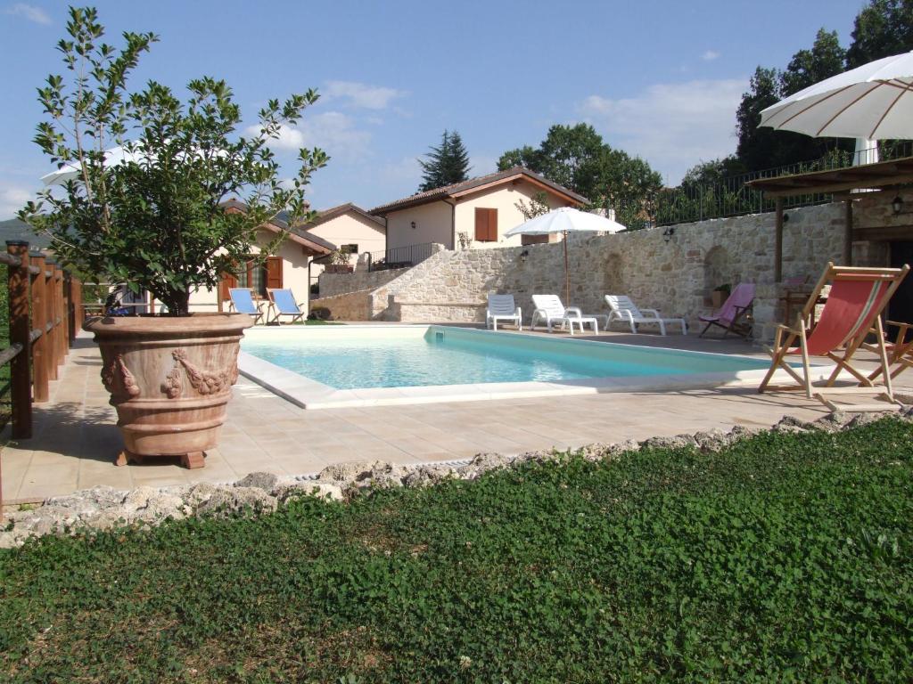 a swimming pool with a potted tree next to a house at Valleprata in Sellano