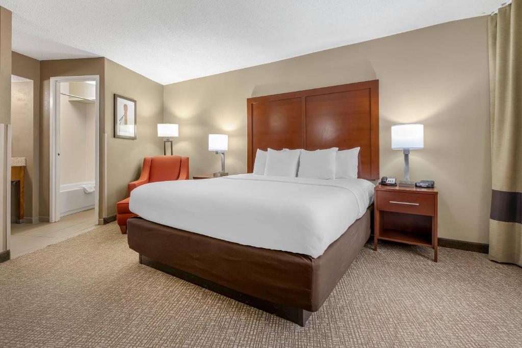 Comfort Inn Memphis Downtown photo