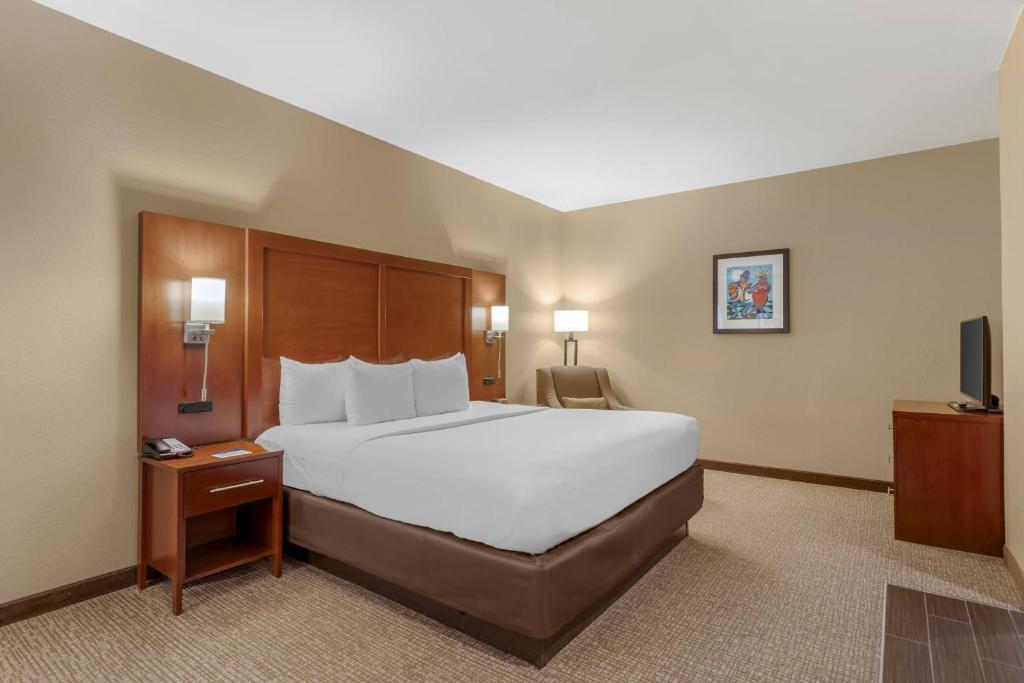 Comfort Inn Memphis Downtown photo
