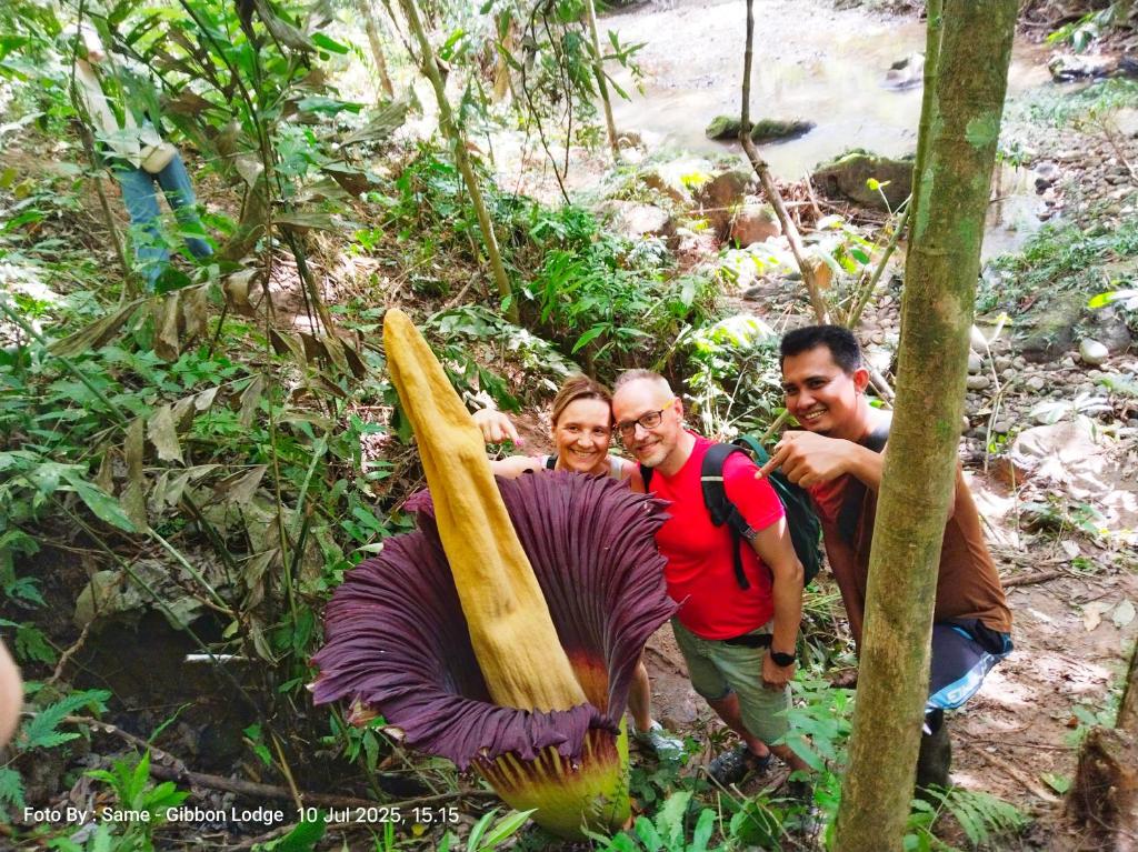 TimbanglawangBatu Katak - Zoey's Homestay的三个男人站在一株大型植物旁边。