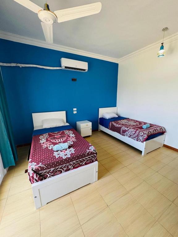 Luxor Guest House - 3