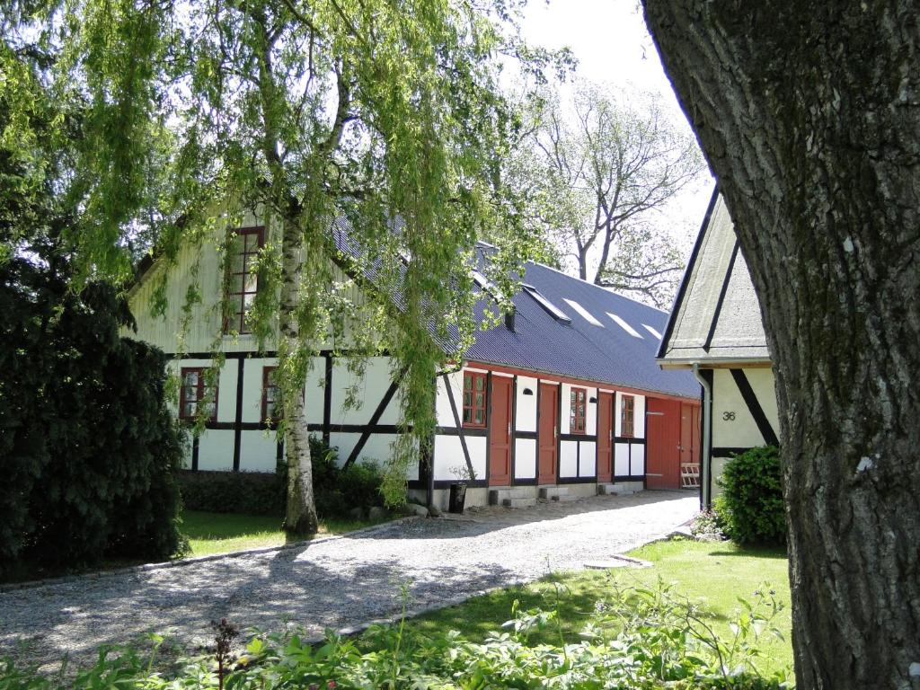 un edificio con un árbol delante de él en Dyssegaard B&B, en Skallerup