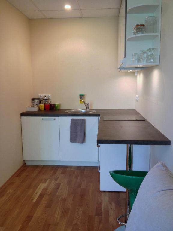 a small kitchen with a counter and a sink at Fortuuna 5 Apartment in Tartu