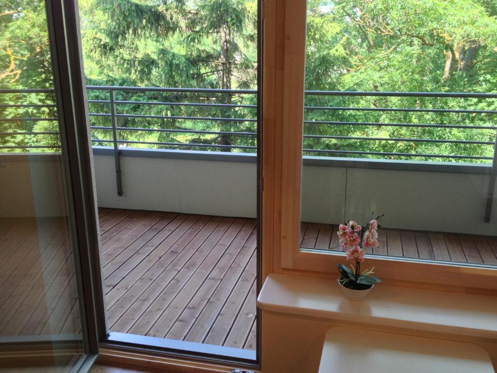 a screened in porch with a window and a plant at Fortuuna 5 Apartment in Tartu