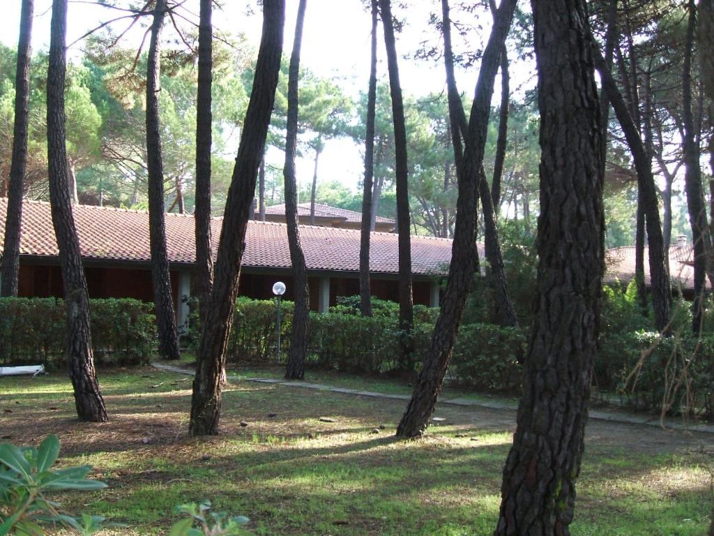 a group of trees with a house in the background at Il Gamberetto in Principina a Mare