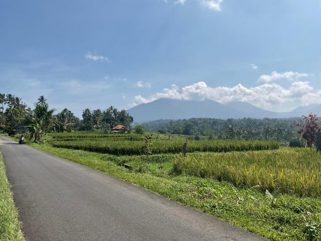 una strada accanto a un campo con montagne sullo sfondo di Buana Asti Room and Warung with Rice Field view a Tabanan
