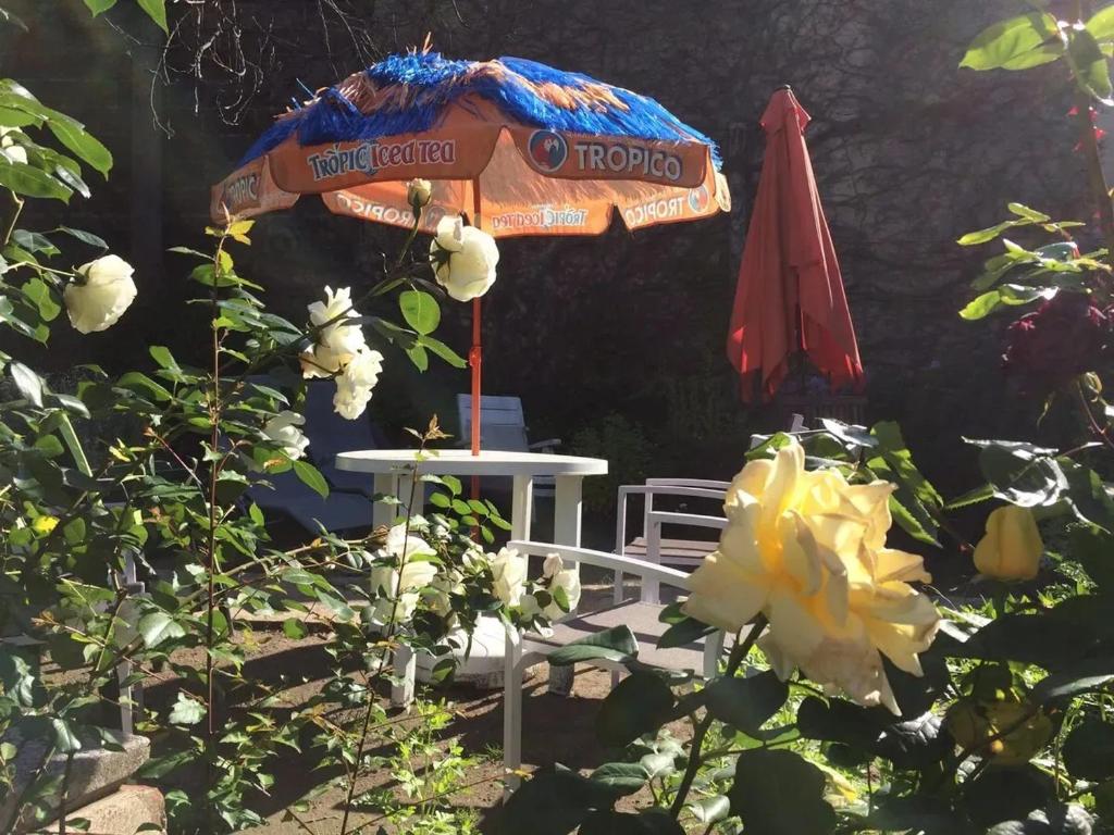 a table and an umbrella and some flowers at Charmant studio à Néris-les-Bains 20 m² avec jardin privé in Néris-les-Bains