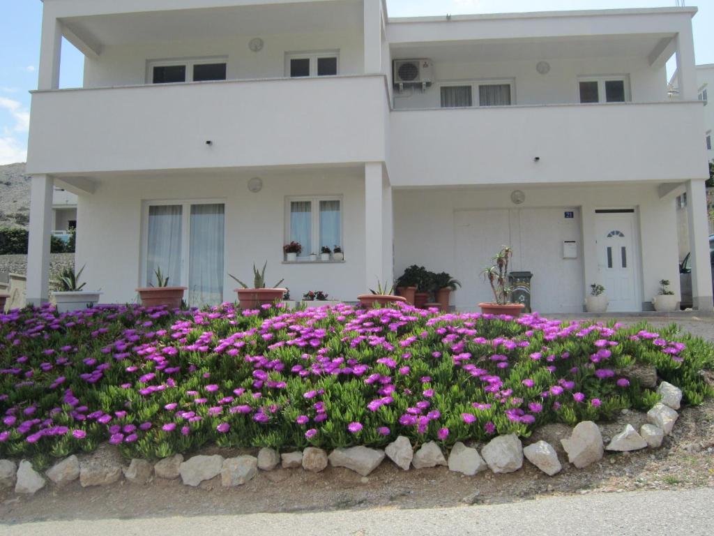 a bed of flowers in front of a house at Apartments Veronika in Pag