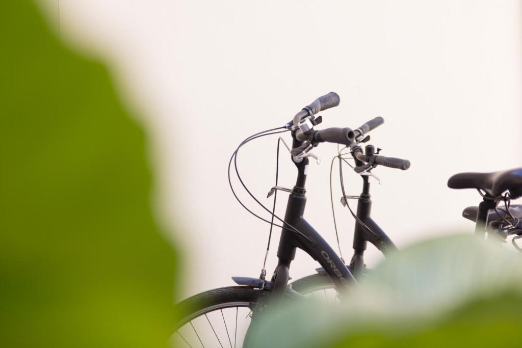 Soho Valencia - Resim 43