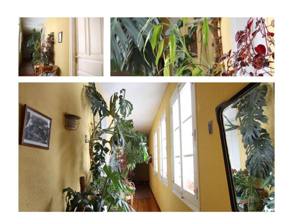 two pictures of a hallway with plants and a window at Hostal Bayón in León