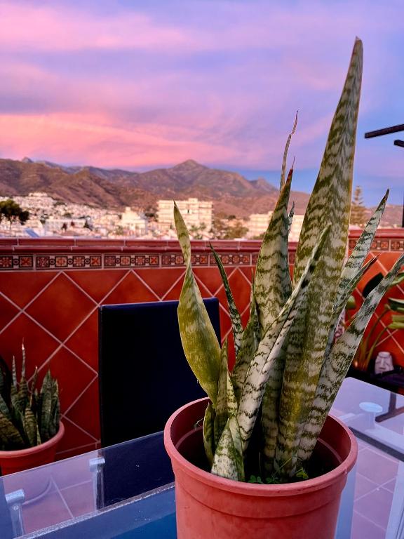 a plant in a pot on a table with a view at Costa Suri Casa in Nerja