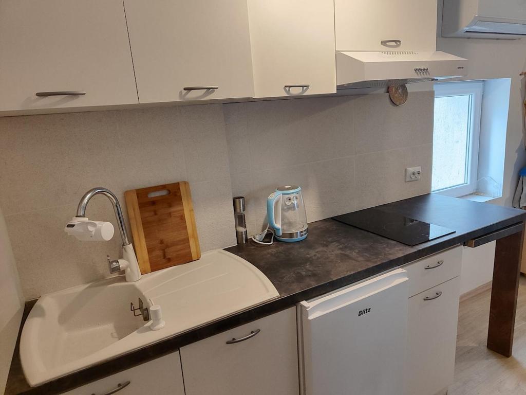 a kitchen with a sink and a counter top at Draga studio apartment pets welcome in Draga Bašćanska
