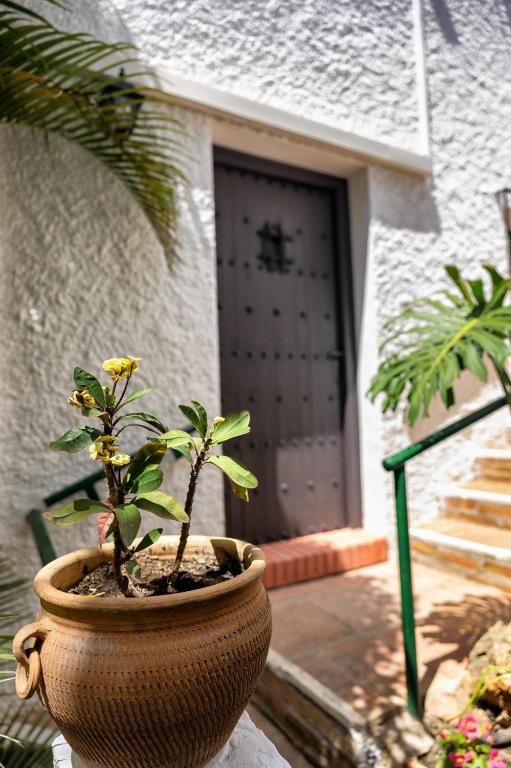 Boutique Hotel Las Islas - 11