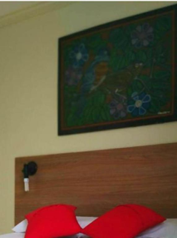 Ein Gemälde über einem Bett mit zwei roten Kissen. in der Unterkunft Hotel Central Gold-Econômico in Manaus