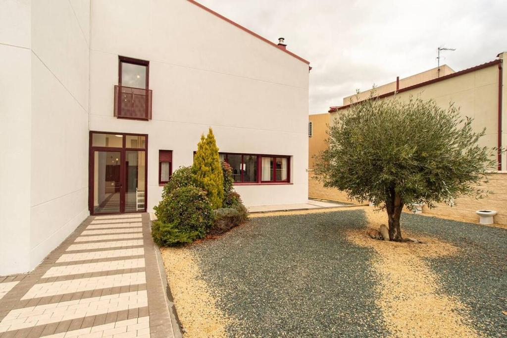 a white building with a tree in front of it at Casa M&M in Espirdo