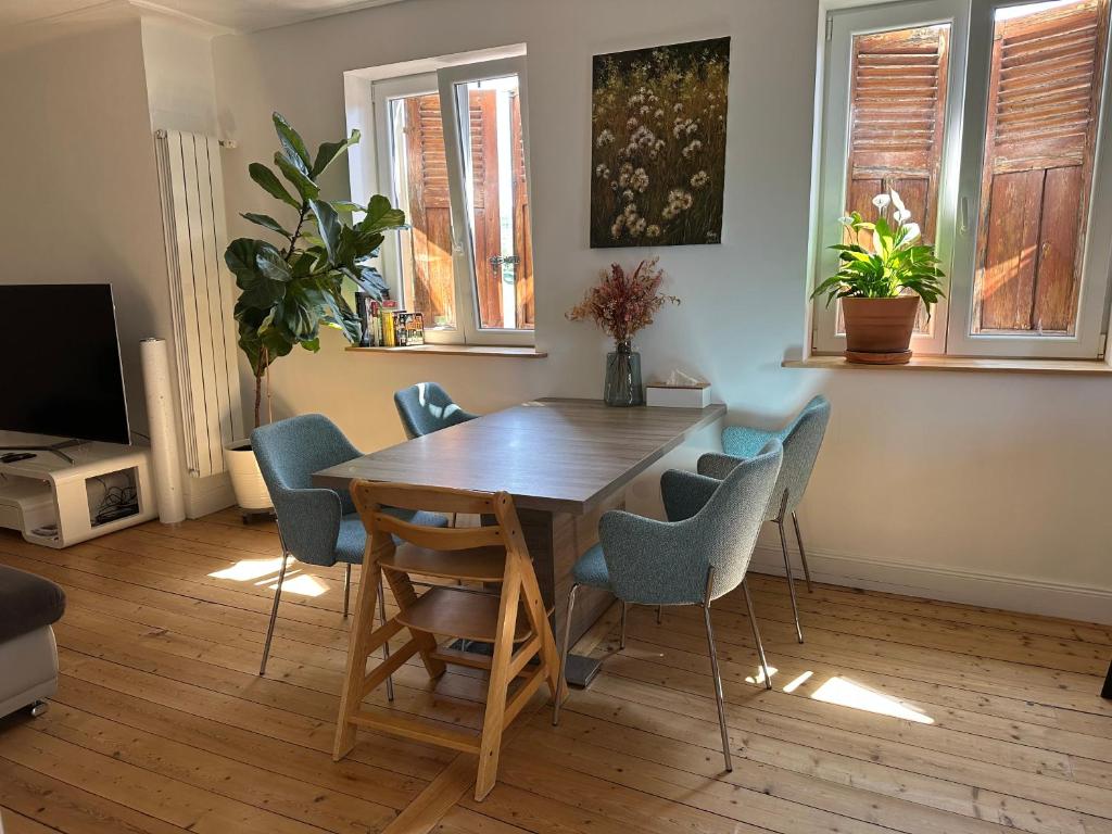 Lovely 2 bedrooms flat Basel Saint Louis -with private parking – photo 9