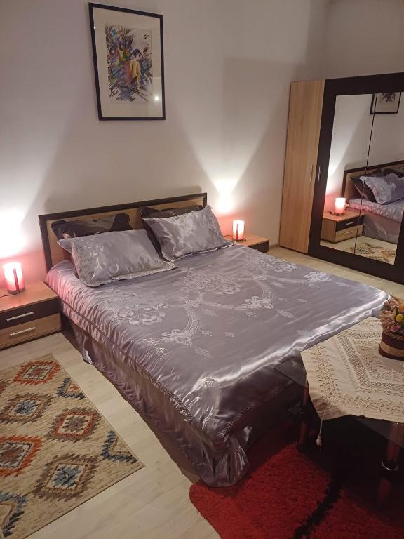 a bedroom with a large bed and a mirror at Apartament cu 2 dormitoare și terasa Valentin, Iulius Mall in Timişoara