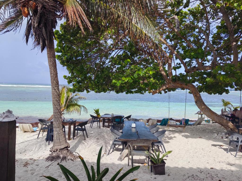 a group of tables and chairs on the beach at Hotel xahuayxol in Mahahual