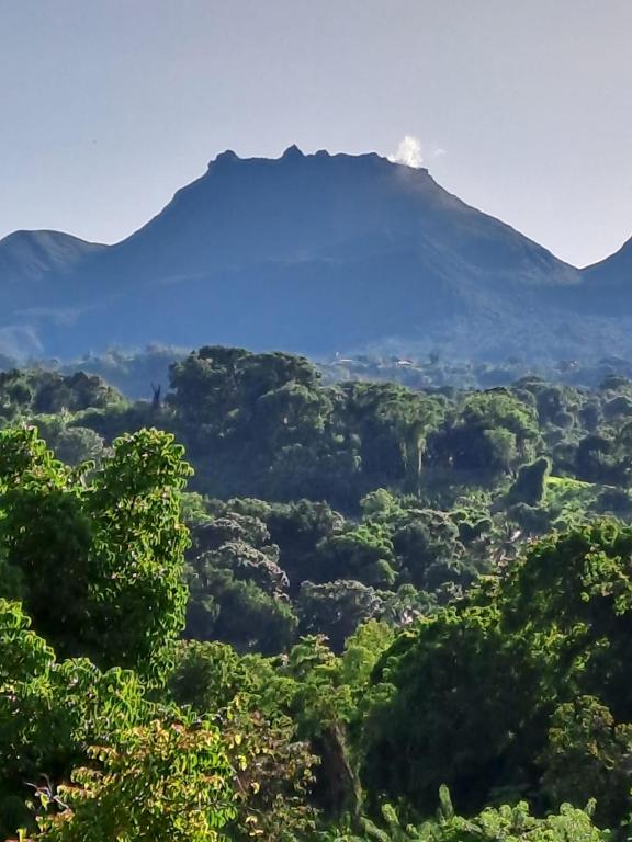 a mountain in the distance with trees in the foreground at De l'îlet au Volcan in Basse-Terre