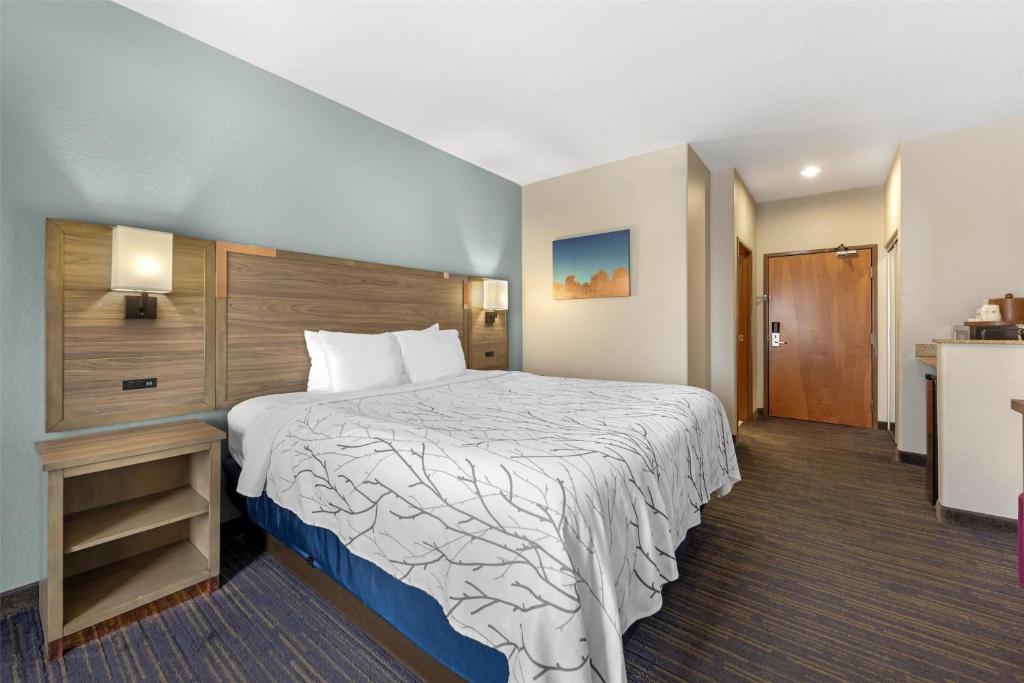 Best Western Plus San Antonio East Inn & Suites - King Room - Non-Smoking