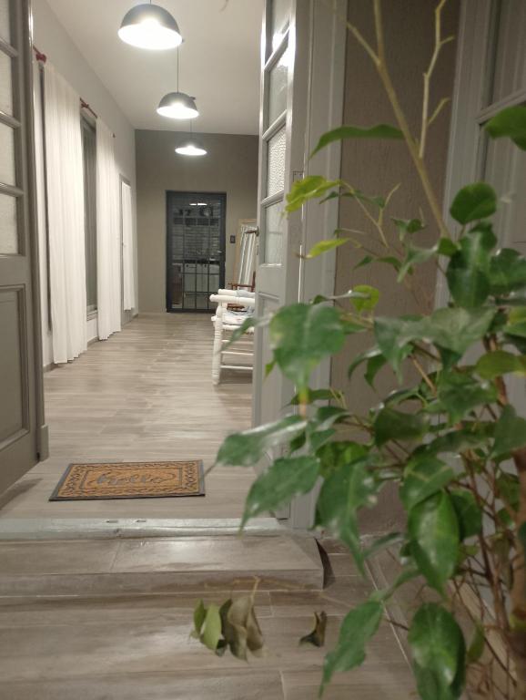 a hallway with a plant in front of a door at La Casona in Balcarce