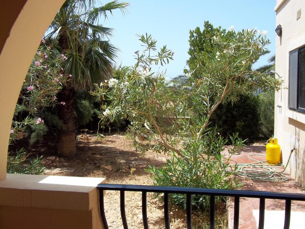 San Antonio Guesthouse - 15