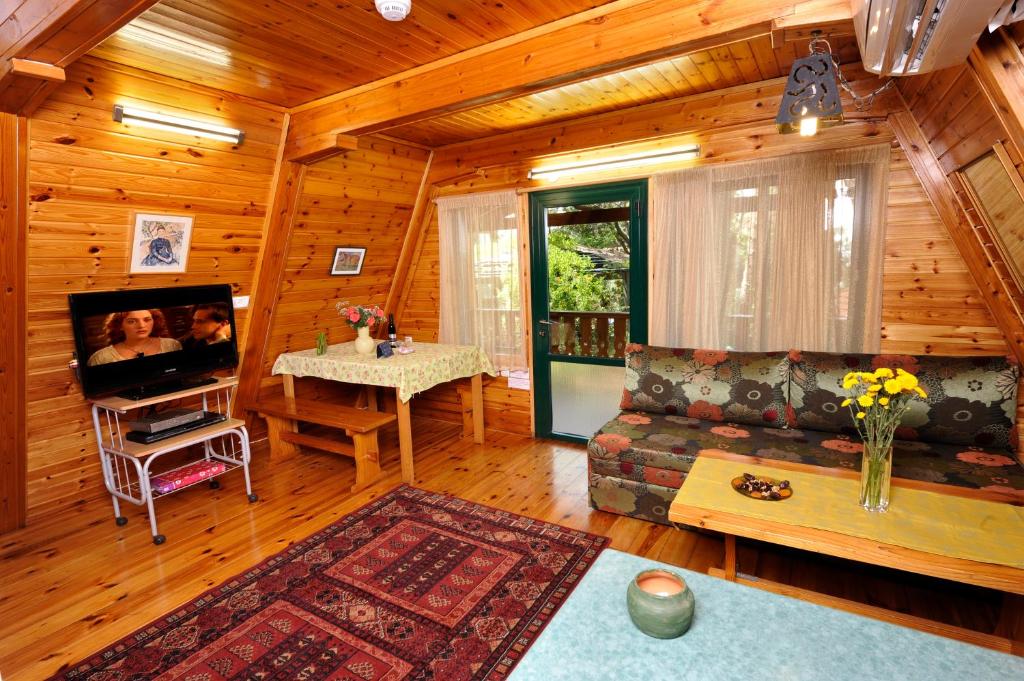 a living room with a couch and a tv at Eretz Hagalil - Land of Galilee in Amirim