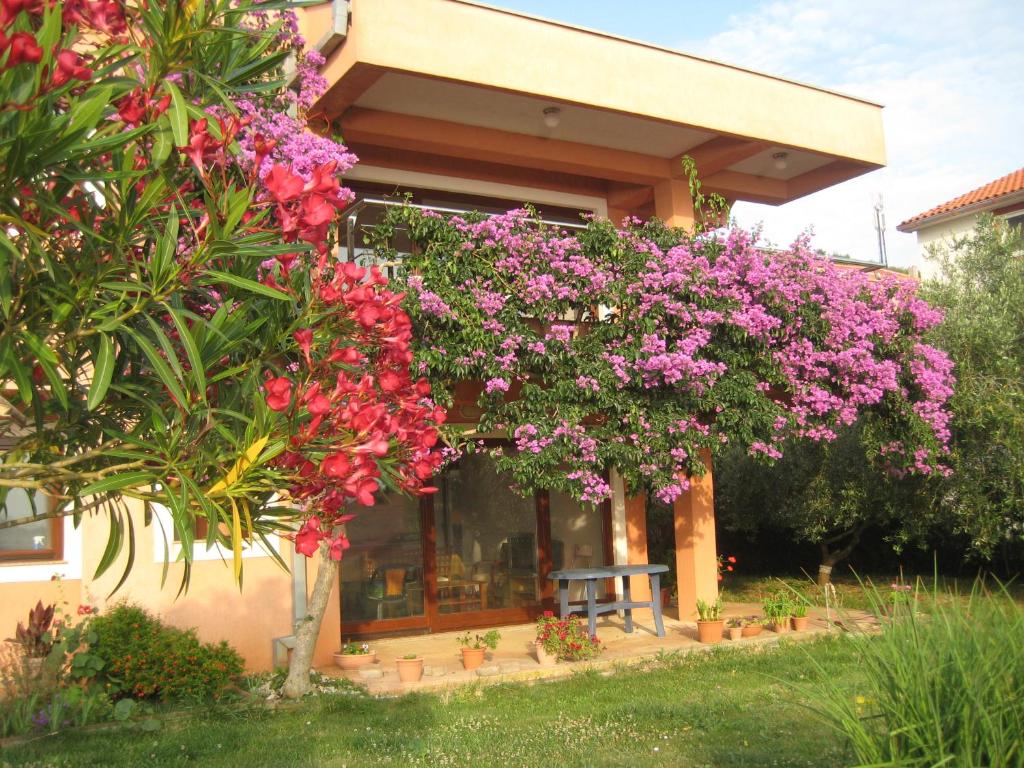 A garden outside Apartman Lavanda