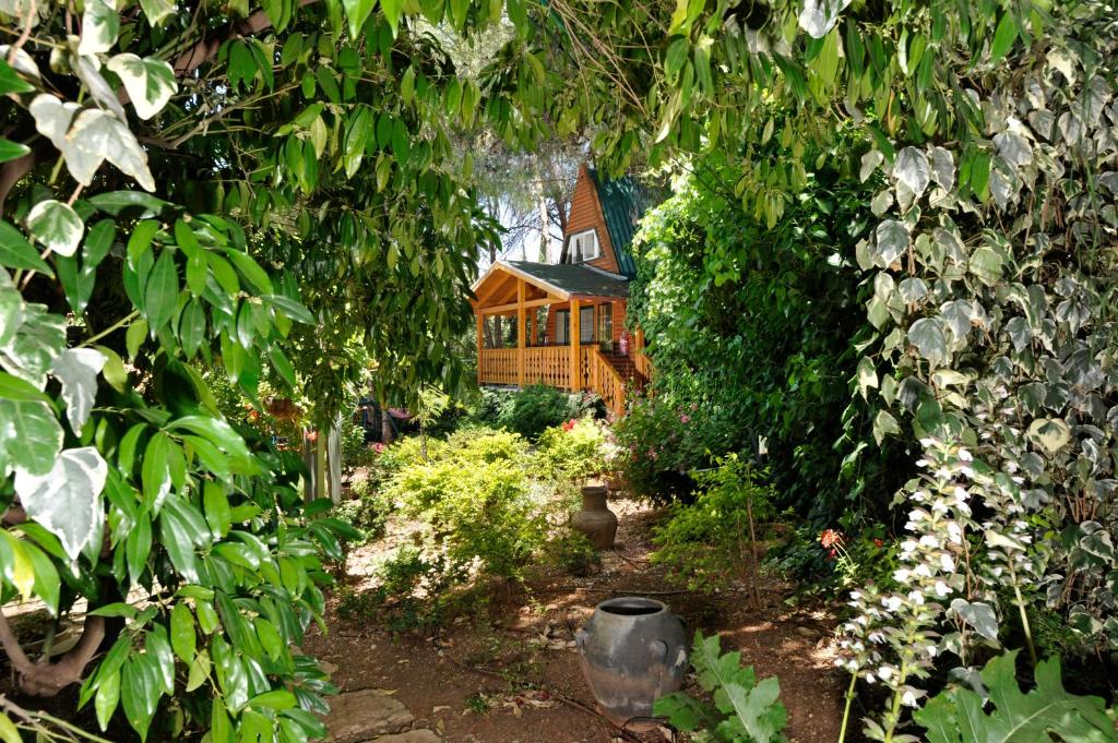 a garden with a house in the background at Eretz Hagalil - Land of Galilee in Amirim