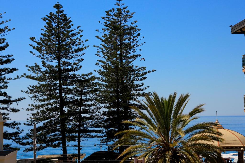 Deux grands palmiers en face de l'océan dans l'établissement Hotel Elandra, à Bordighera