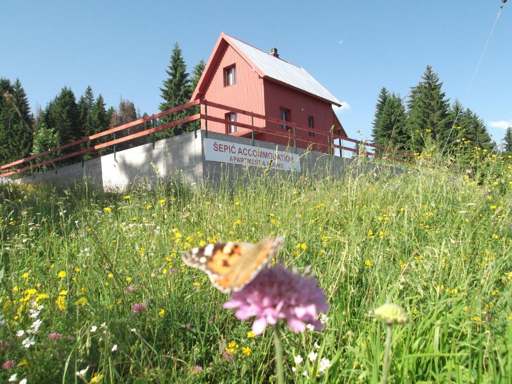 a butterfly sitting on a field of flowers in front of a red building at Šepić Accommodation in Žabljak