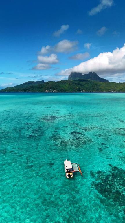 BoraBora Lagoon View lodge - photo 6 - Bora Bora, Polynésie