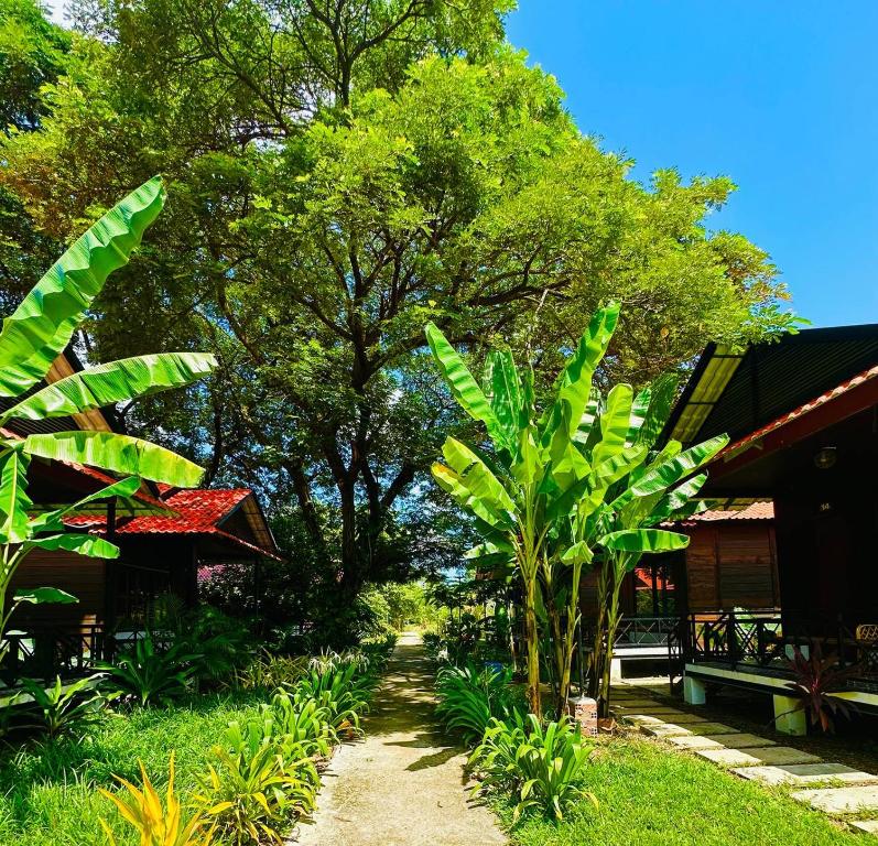 Taman di luar Densy Holiday Homestay