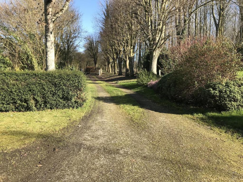 a dirt road in a park with trees and bushes at Cozy Normandy Escape in Aignerville