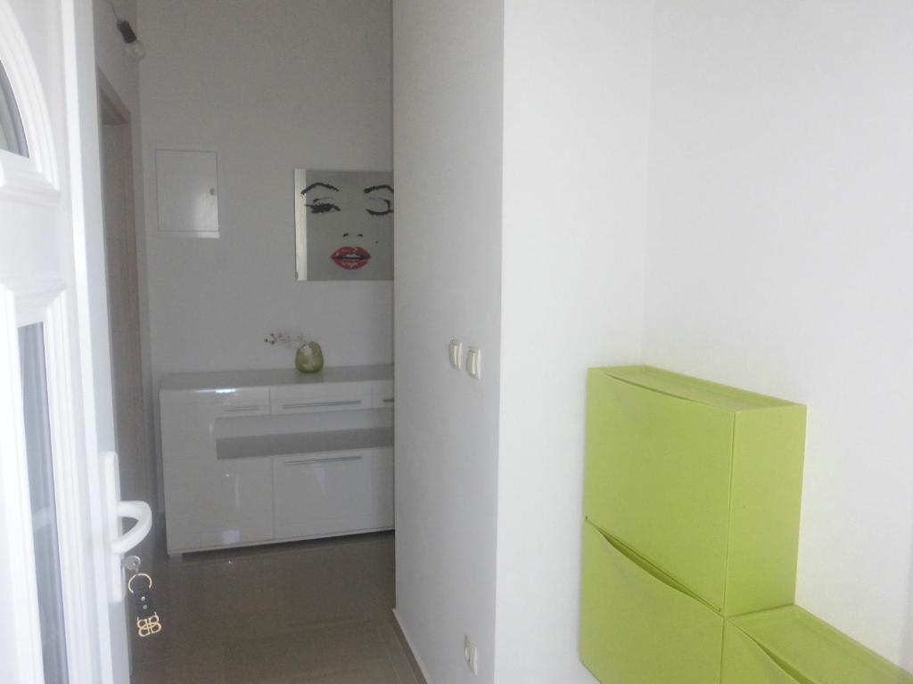 a bathroom with a green refrigerator and a sink at Apartments Mara Mandre in Mandre