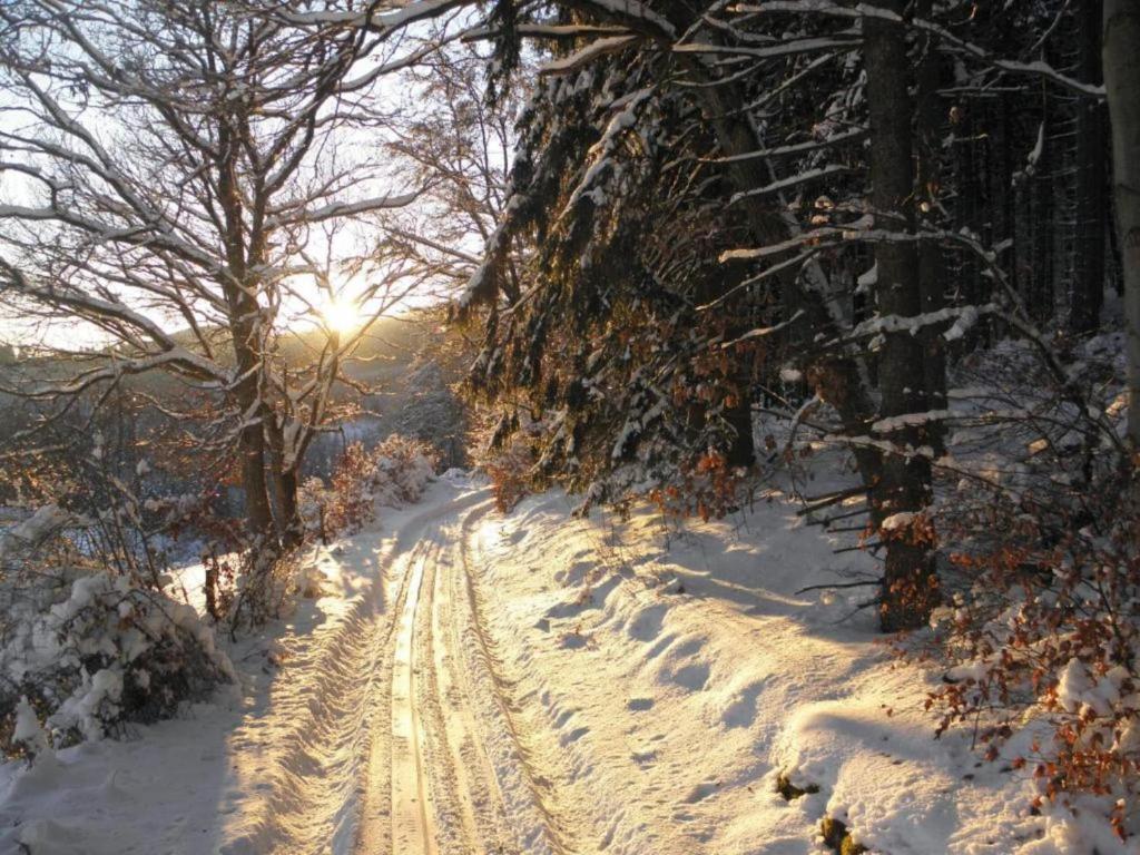 a snow covered path with footprints in the snow at Spacious Apartment in Madfeld with Private Terrace in Madfeld