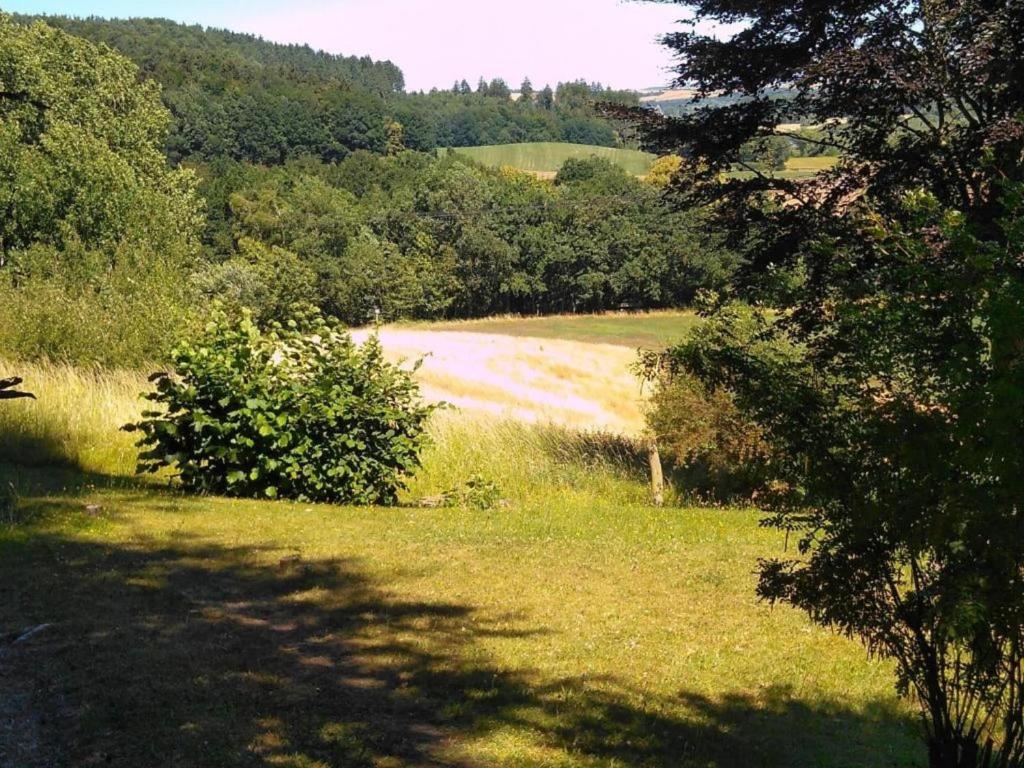 a view of a field with trees and a dirt road at Charming holiday home with natural garden in Kaltennordheim-Thuringia in Unterweid