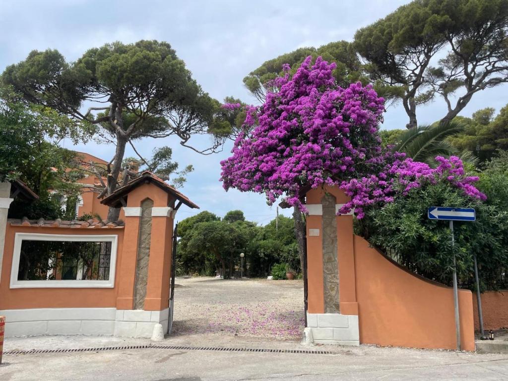 En have udenfor Casa del Borgo