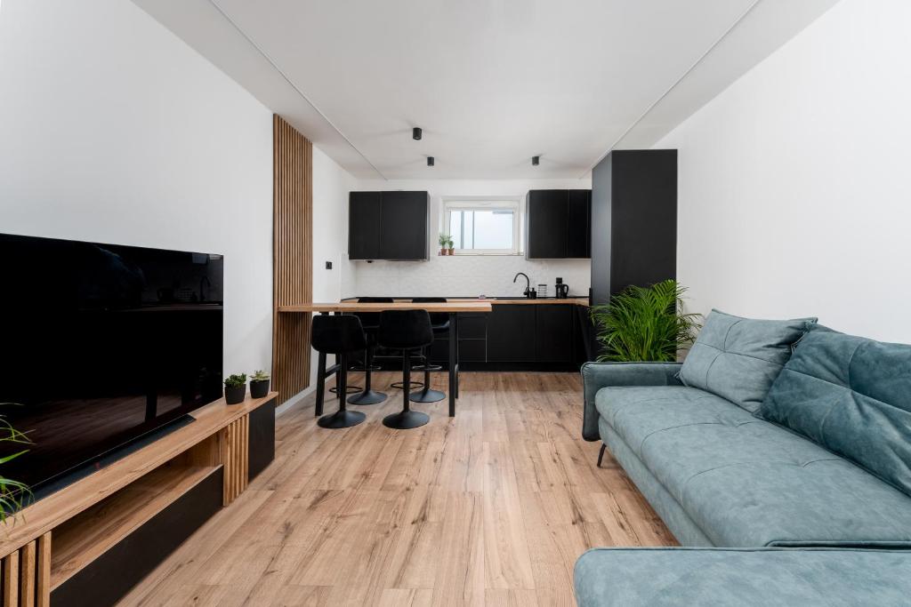 Μια τηλεόραση ή/και κέντρο ψυχαγωγίας στο Pleszowska Urban Elegance Apartments by BookingHost