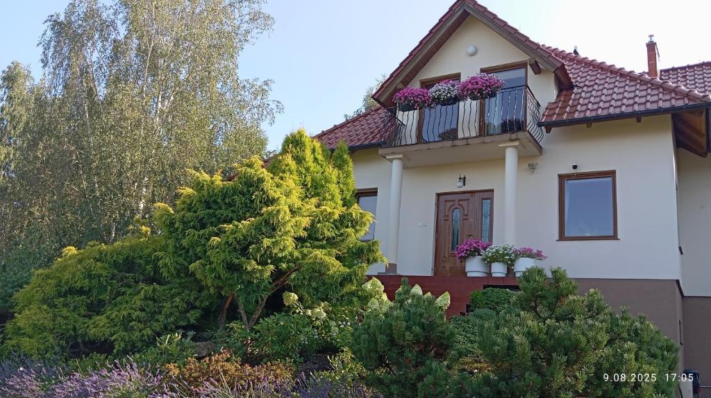 a white house with a balcony with purple flowers at Przytulne Studio Borówkowy Zagajnik in Piechowice