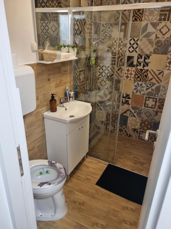 a bathroom with a toilet and a shower at Studio Apartman Bojana 34m2,free wifi,parking in Sisak