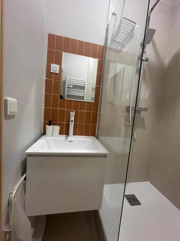 a bathroom with a sink and a glass shower at T2 cosy Vieux Port de Marseille in Marseille