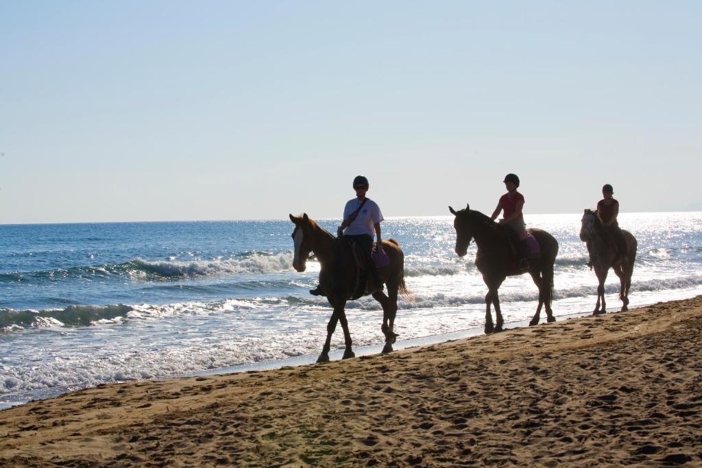 Hosté ubytování Pilot Beach Resort