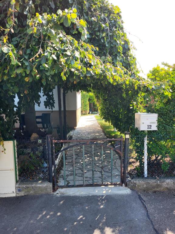 Studio Colmar avec jardin privatif – photo 13