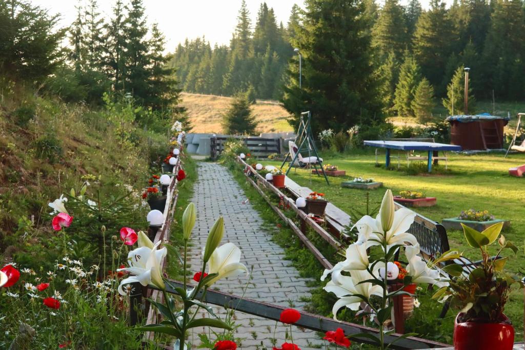 a garden with a stone pathway with flowers and a table at Irenne in Păltiniş