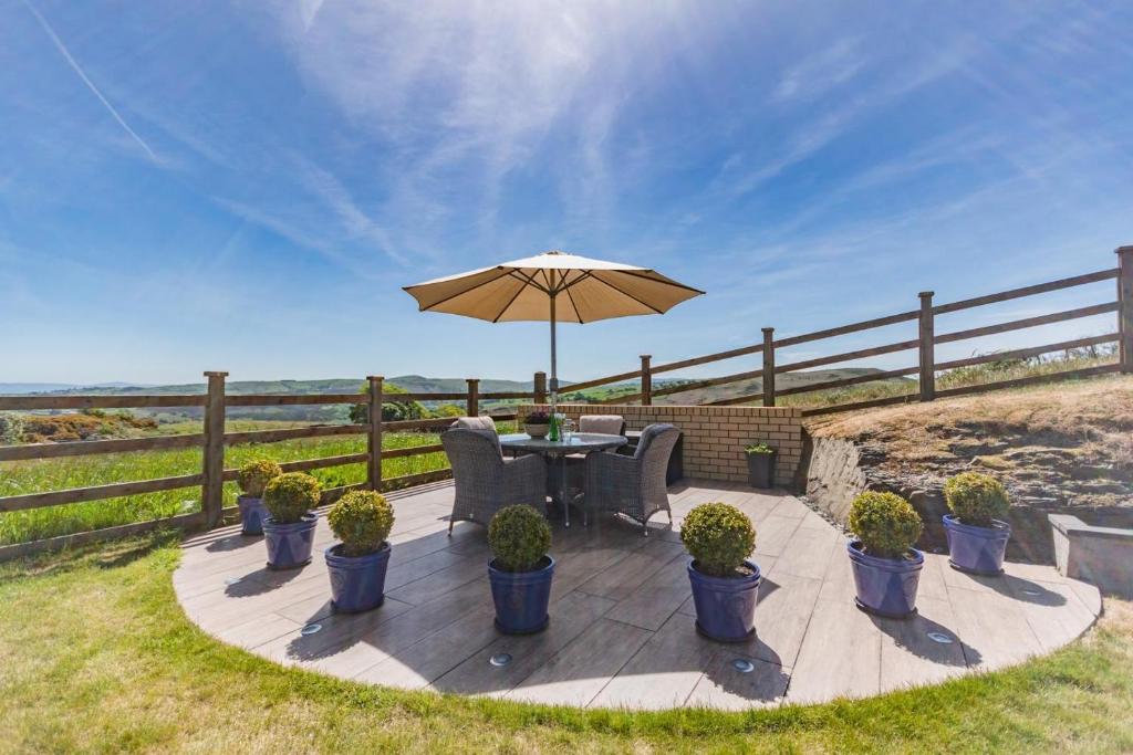 a patio with a table with an umbrella and plants at Bryn Tirion Cottage in Llanfair Talhaiarn